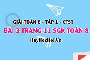 Giải bài 3 trang 11 Toán 8 Tập 1 SGK Chân trời sáng tạo